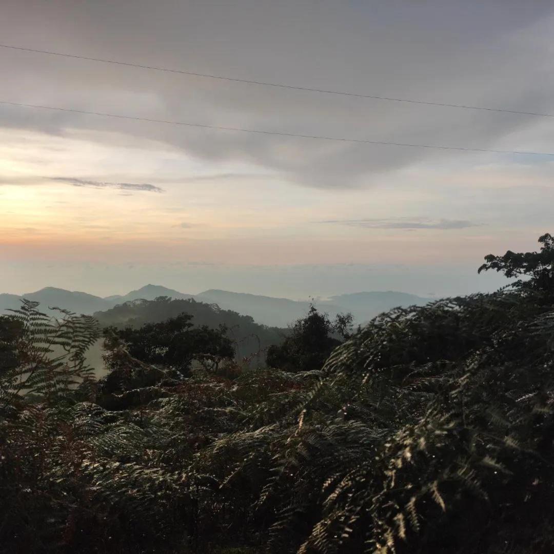 Hotel Y Restaurante Mirador Aires De La Sierra, Minca Εξωτερικό φωτογραφία